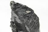 Metallic Wodginite Crystals - Brazil #214547-2